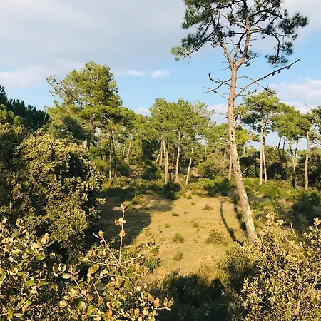 Du Hilaire, Et Foret Apartment Saint-Hilaire-de-Riez